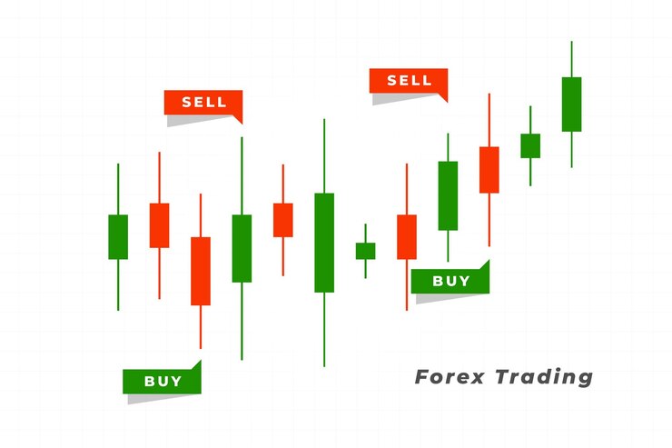 Forex Academy Reviews to Get the Best Platforms to Learn From 